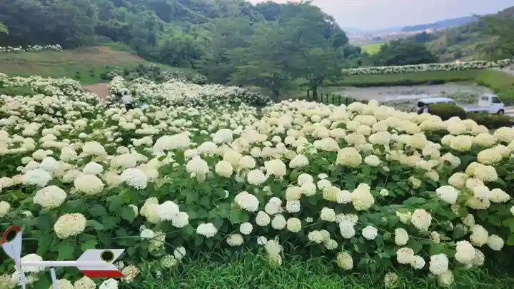 陽林寺(福島県)