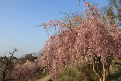 阿久津「田村神社」（郡山市阿久津町）旧社名：伊豆箱根三嶋三社の庭園