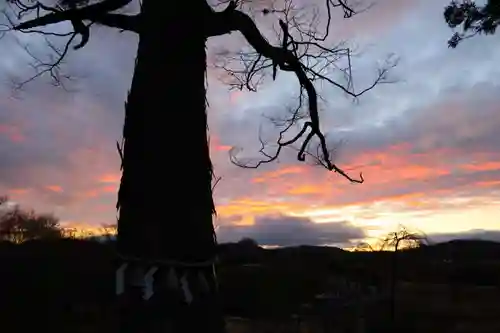 阿久津「田村神社」（郡山市阿久津町）旧社名：伊豆箱根三嶋三社の自然