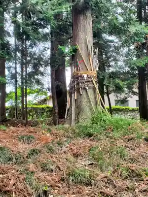 小林神社の自然