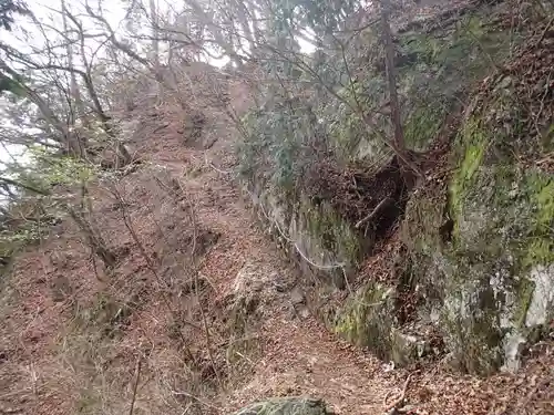 武蔵御嶽神社奥の院の自然