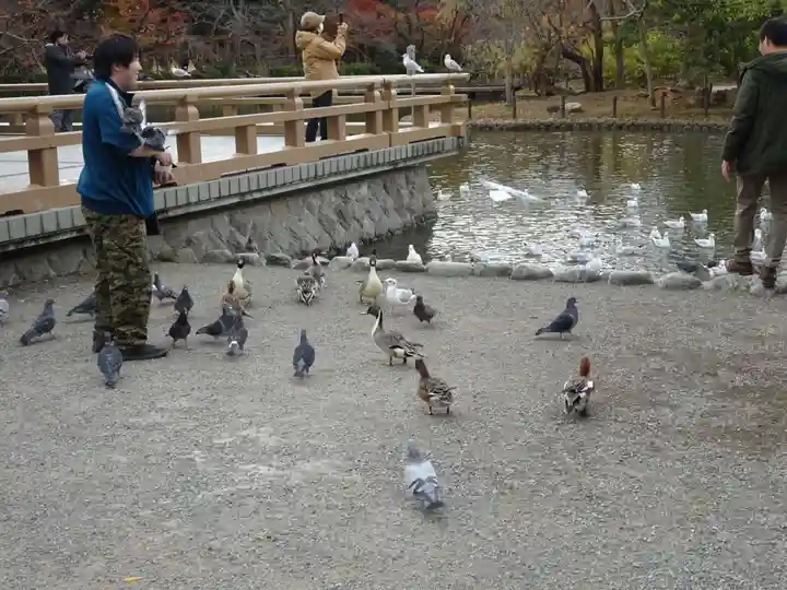 鶴岡八幡宮(神奈川県)