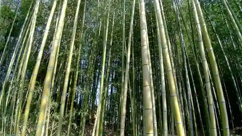 真田神社の自然