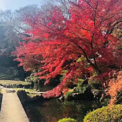 靖國神社の庭園
