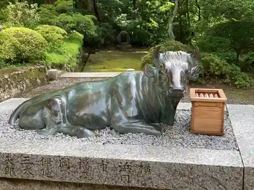 牛伏寺の狛犬
