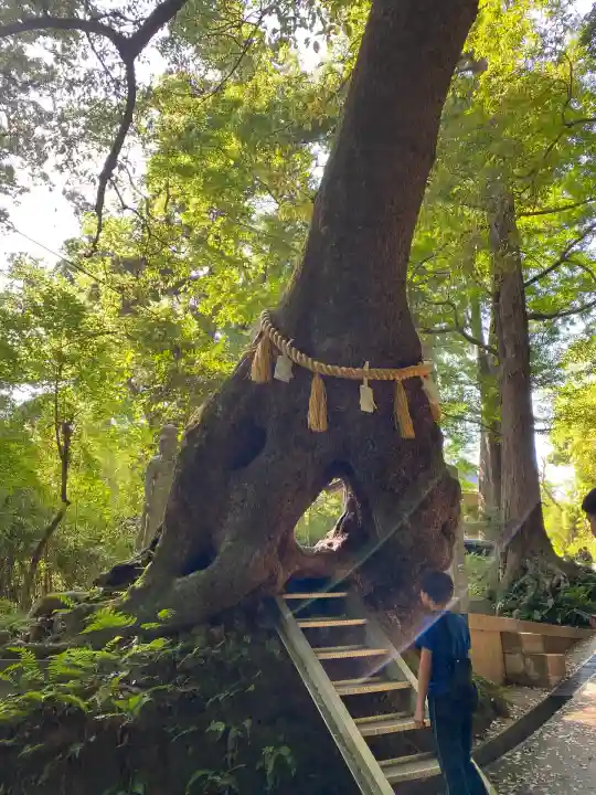笠森寺(千葉県)