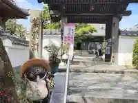 多聞寺の山門・神門