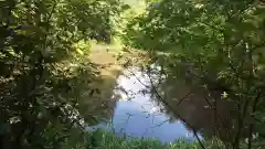 鍬山神社の周辺