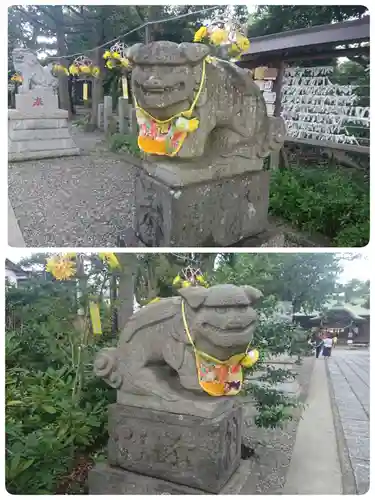 菊田神社の狛犬