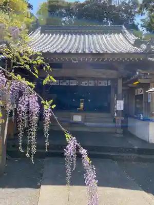 藤山神社の本殿・本堂