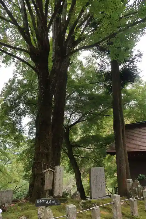 正法寺(滋賀県)