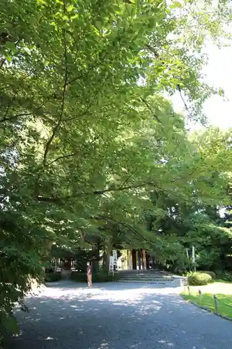 阿佐ヶ谷神明宮のその他建物