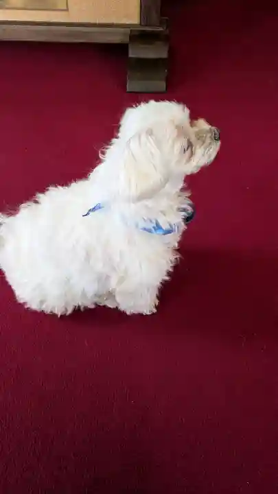 本昌寺(京都府)