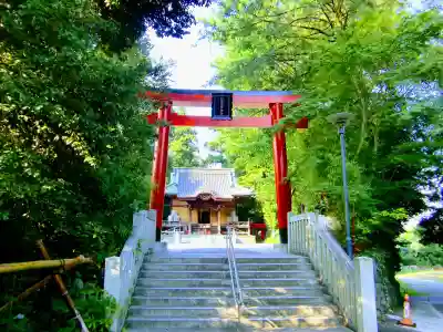 白笹稲荷神社の鳥居