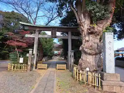 畑子安神社(千葉県)