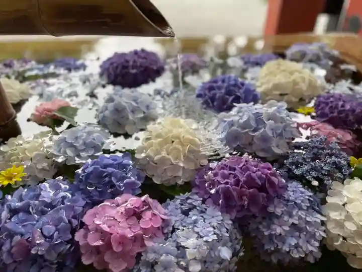 鶴岡八幡宮の手水舎