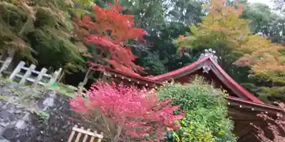 出雲大神宮の本殿・本堂