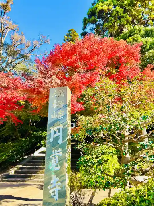 円覚寺(神奈川県)