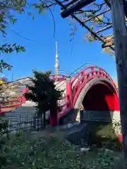 亀戸天神社の庭園