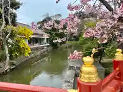 鶴岡八幡宮の自然