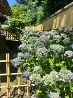中野沼袋氷川神社(東京都)