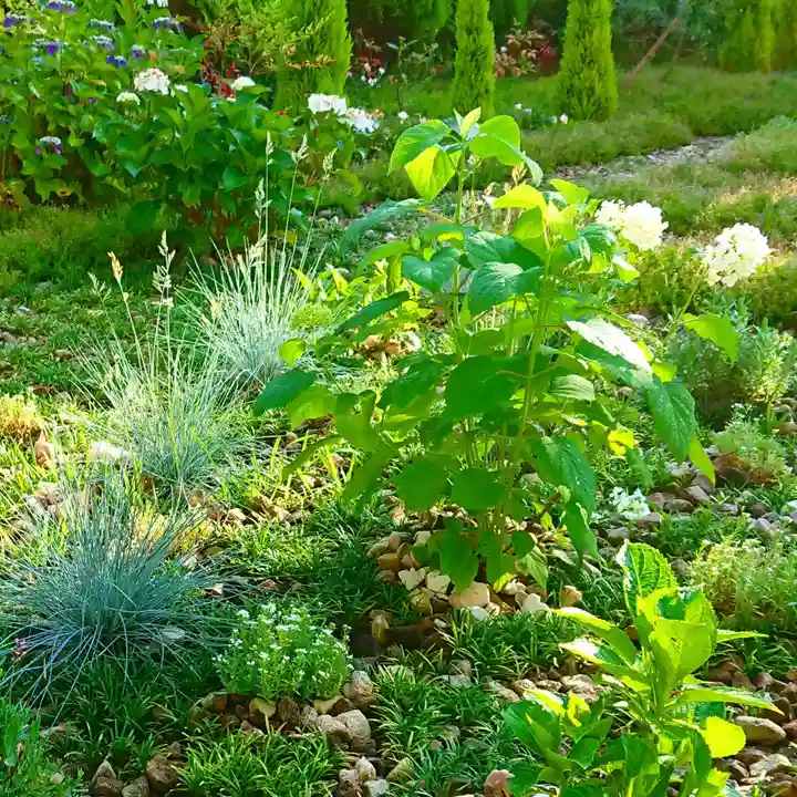 寿量山 速成寺の自然