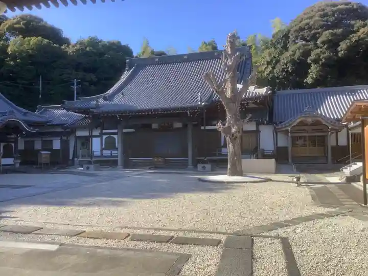 洞雲院(愛知県)
