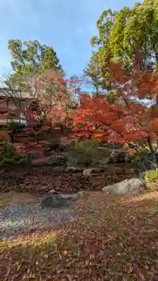 長岡天満宮(京都府)
