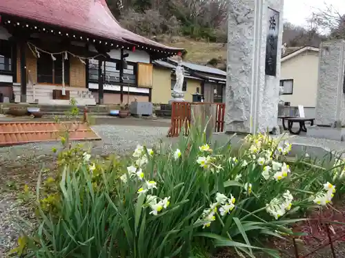 伊勢原 法泉寺の自然