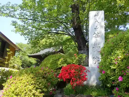 等覚院(神奈川県)