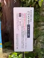 伊野天照皇大神宮の{uncategorized: "未分類", other: "その他", undefined: "問題あり", building: "その他建物", grave: "お墓", sacred_gate: "鳥居", guardian: "狛犬", statue: "像", buddha: "仏像", history: "歴史", nature: "自然", garden: "庭園", animal: "動物", pagoda: "塔", temizu: "手水舎", mountain_gate: "山門・神門", sanctuary: "本殿・本堂", subordinate: "末社・摂社", art: "芸術", scenery: "景色", jizo: "地蔵", ema: "絵馬", goshuin: "御朱印", omikuji: "おみくじ", items: "授与品その他", amulet: "お守り", goshuincho: "御朱印帳", eats: "食事", festival: "お祭り", votive_dance: "神楽", shichigosan: "七五三参", wedding: "結婚式", experience: "体験その他", initially: "初詣", around: "周辺", anti_infection: "感染症対策"}