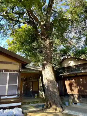 上野毛稲荷神社(東京都)