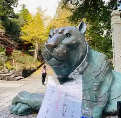 金剛證寺の狛犬