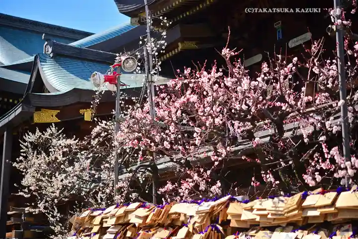 湯島天満宮(東京都)