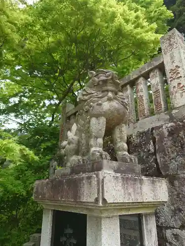 大山阿夫利神社の狛犬