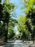 大國魂神社(東京都)