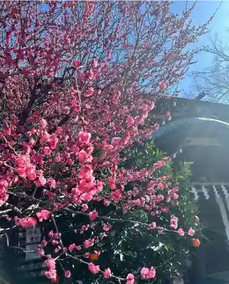 大國魂神社(東京都)