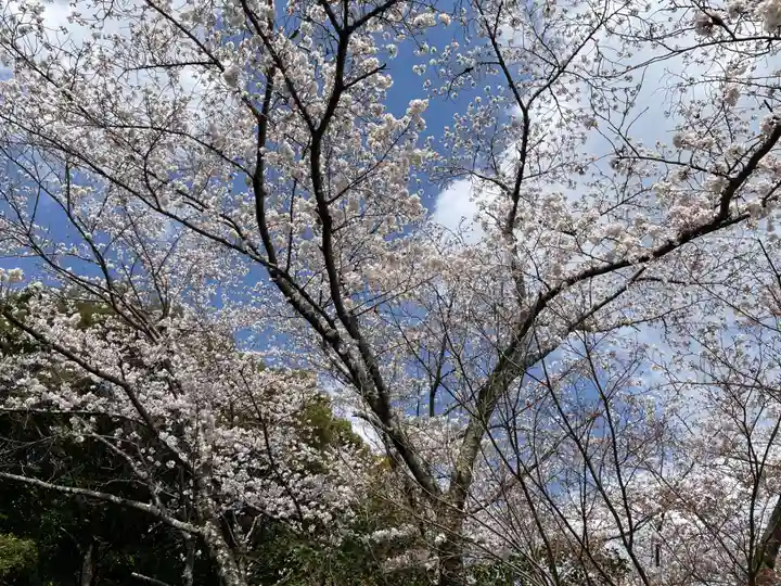 宝菩提院願徳寺(京都府)