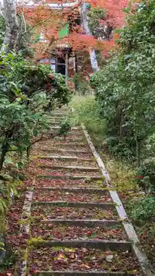 光明寺（粟生光明寺）(京都府)