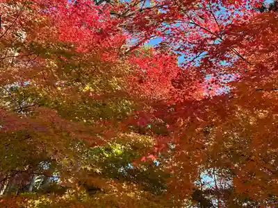 国宝 大法寺(長野県)