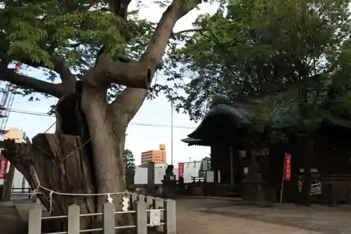 阿邪訶根神社の本殿・本堂
