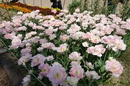 半木神社（賀茂別雷神社境外末社）(京都府)