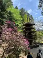 室生寺の{uncategorized: "未分類", other: "その他", undefined: "問題あり", building: "その他建物", grave: "お墓", sacred_gate: "鳥居", guardian: "狛犬", statue: "像", buddha: "仏像", history: "歴史", nature: "自然", garden: "庭園", animal: "動物", pagoda: "塔", temizu: "手水舎", mountain_gate: "山門・神門", sanctuary: "本殿・本堂", subordinate: "末社・摂社", art: "芸術", scenery: "景色", jizo: "地蔵", ema: "絵馬", goshuin: "御朱印", omikuji: "おみくじ", items: "授与品その他", amulet: "お守り", goshuincho: "御朱印帳", eats: "食事", festival: "お祭り", votive_dance: "神楽", shichigosan: "七五三参", wedding: "結婚式", experience: "体験その他", initially: "初詣", around: "周辺", anti_infection: "感染症対策"}