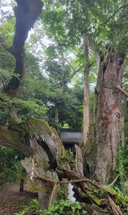 大山祇神社(愛媛県)