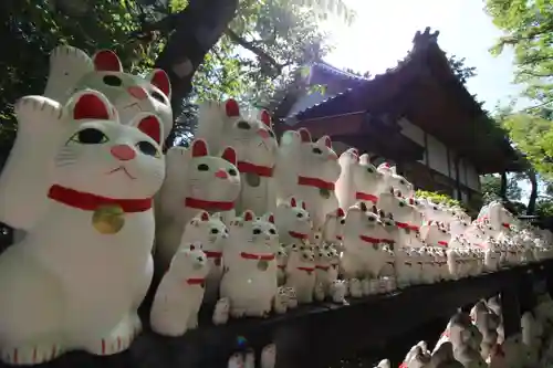 豪徳寺(東京都)