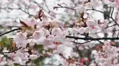 豊国神社の自然