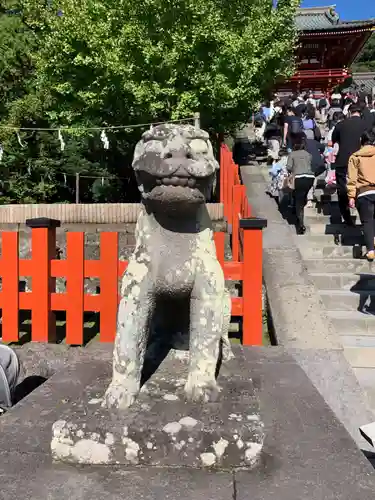 鶴岡八幡宮の狛犬