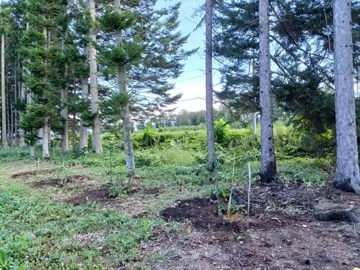 人舞神社(北海道)