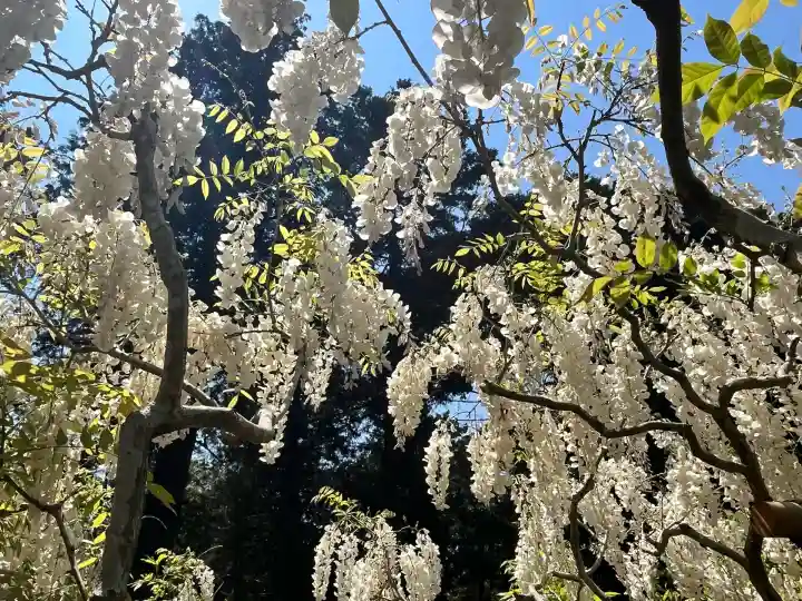 歌泉堂(春日大社神苑萬葉植物園内鎮座)(奈良県)