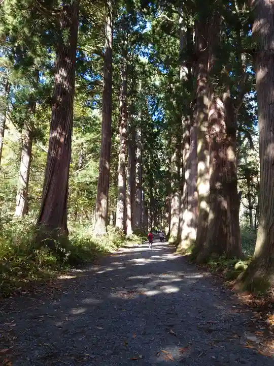戸隠神社奥社(長野県)